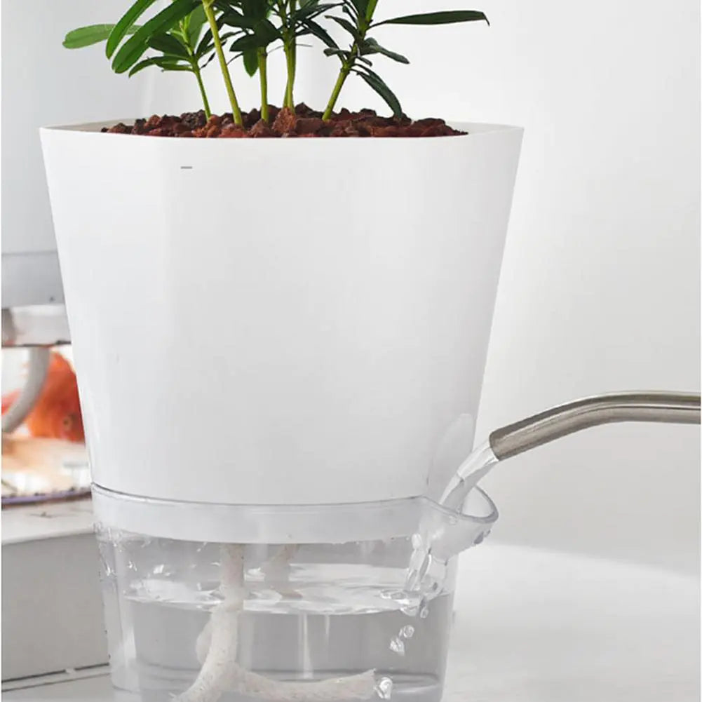 Automatic Water-Absorbing Flowerpot